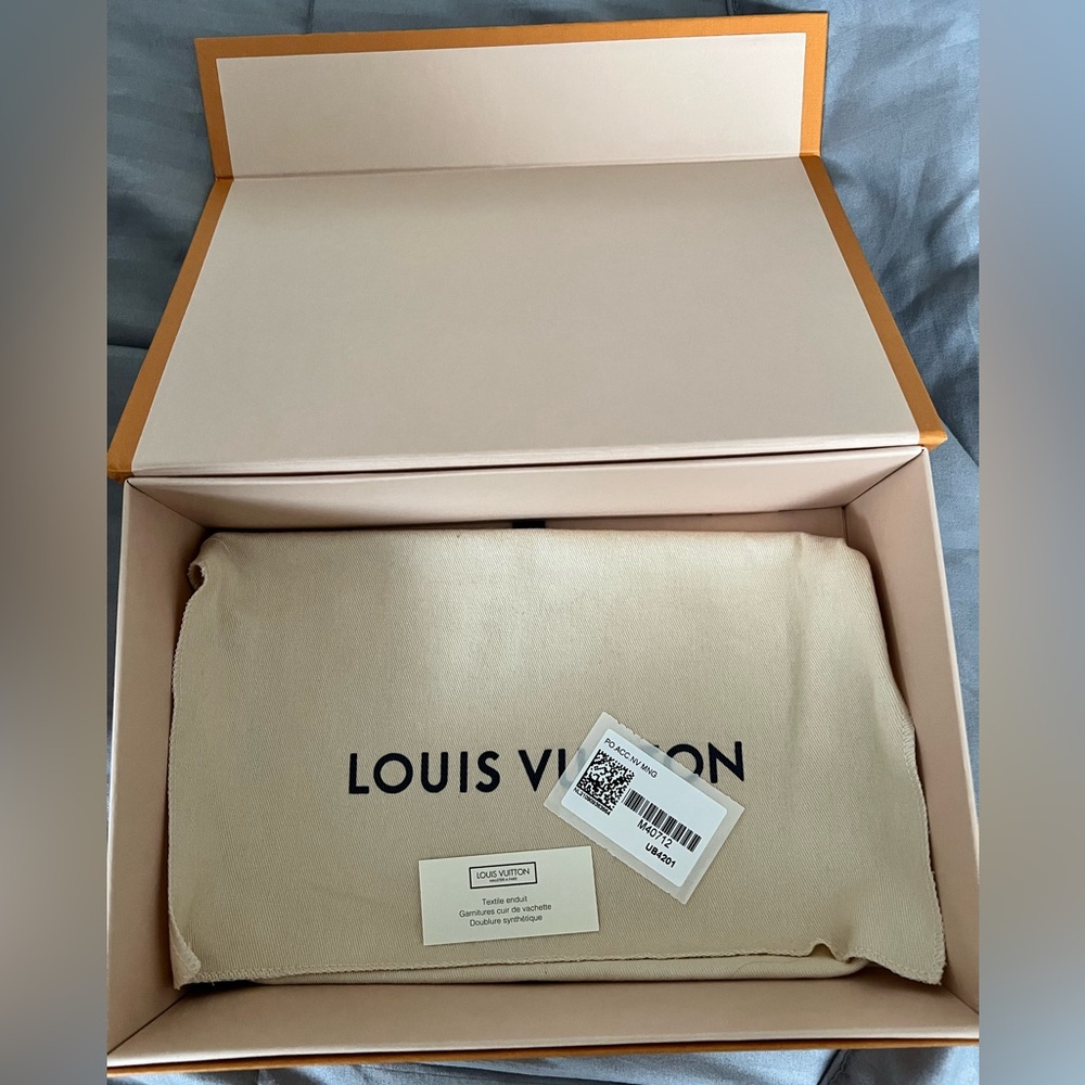 LOUIS VUITTON POCHETTE ACCESSOIRE NM - Picture 8 of 14